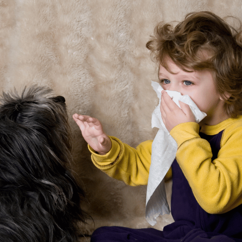 gyermekkori allergiás betegségek